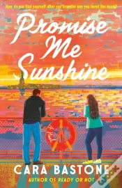 Capa do artigo Promise Me Sunshine