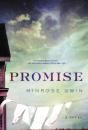 Promise - Preview