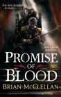 Promise Of Blood - Preview