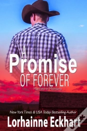 Capa do artigo Promise Of Forever