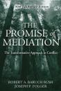 Promise Of Mediation - Preview