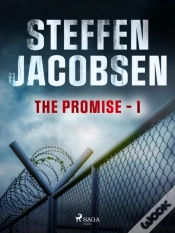 Capa do artigo Promise - Part 1