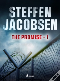 Capa do artigo Promise - Part 1