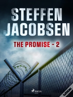 Capa do artigo Promise - Part 2
