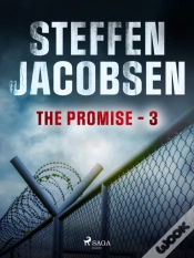 Capa do artigo Promise - Part 3