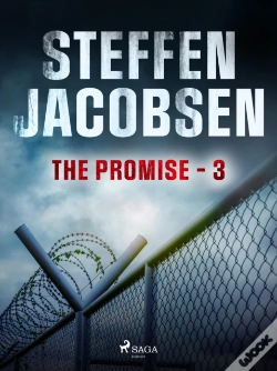 Capa do artigo Promise - Part 3