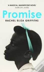 Capa do artigo Promise