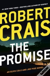 Capa do artigo Promise