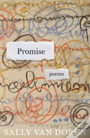 Capa do artigo Promise