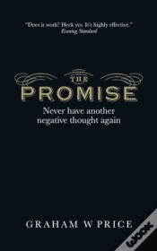 Capa do artigo Promise, The