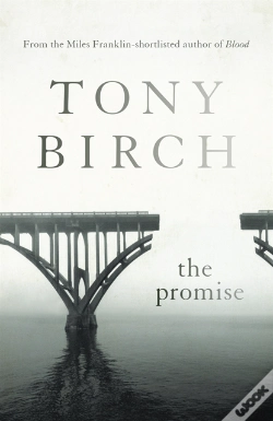Capa do artigo Promise