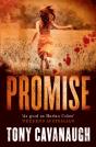 Promise - Preview