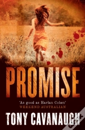 Capa do artigo Promise