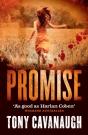 Promise - Preview