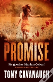 Capa do artigo Promise