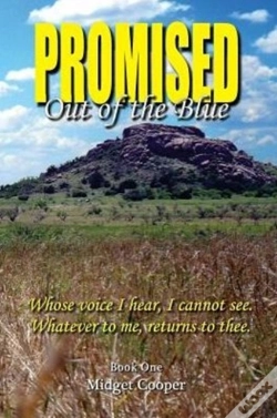 Capa do artigo Promised