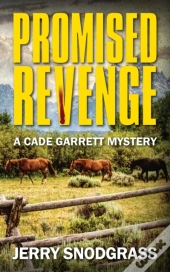 Promised Revenge