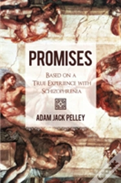 Capa do artigo Promises