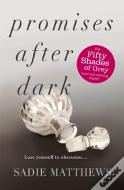 Capa do artigo Promises After Dark (After Dark Book 3)