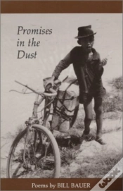 Capa do artigo Promises In The Dust