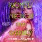 Promises Stronger Than Darkness - Preview