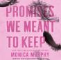 Promises We Meant To Keep - Preview