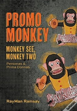 Capa do artigo Promo Monkey