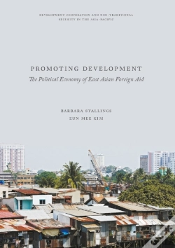Capa do artigo Promoting Development