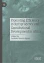Promoting Efficiency In Jurisprudence And Constitutional Development In Africa - Preview