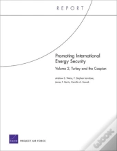 Promoting International Energy Security
