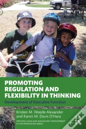 Promoting Regulation And Flexibility In Thinking