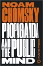 Propaganda And The Public Mind - Preview