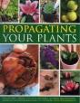 Propagating Your Plants - Preview