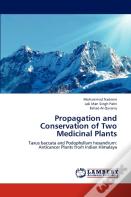 Propagation And Conservation Of Two Medicinal Plants