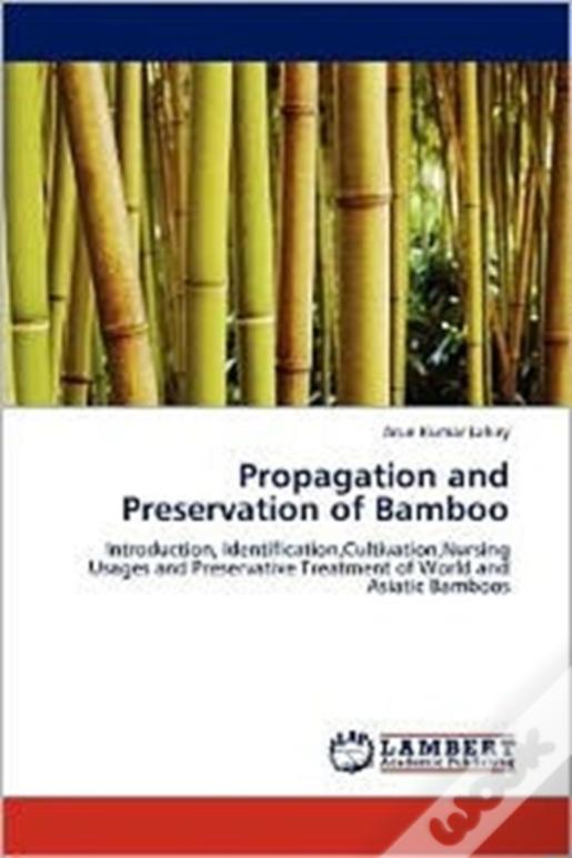 Propagation And Preservation Of Bamboo