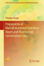 Propagation Of Multidimensional Nonlinear Waves And Kinematical Conservation Laws - Preview