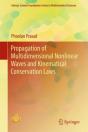 Propagation Of Multidimensional Nonlinear Waves And Kinematical Conservation Laws - Preview