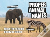 Capa do artigo Proper Animal Names