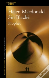 Capa do artigo Prophet