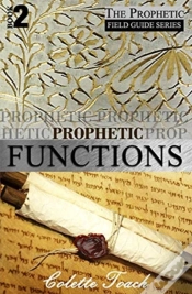 Capa do artigo Prophetic Functions