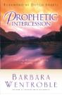 Prophetic Intercession - Preview