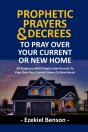 Prophetic Prayers And Decrees To Pray Over Your Current Or New House - Preview