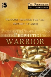 Capa do artigo Prophetic Warrior