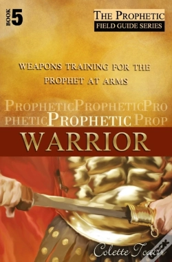 Capa do artigo Prophetic Warrior