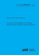 Propionic Acid Degradation By Syntrophic Bacteria During Anaerobic Biowaste Digestion
