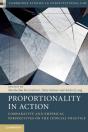 Proportionality In Action - Preview
