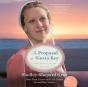 Proposal At Siesta Key - Preview