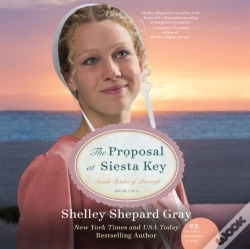 Capa do artigo Proposal At Siesta Key
