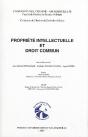 Propriété Intellectuelle Et Droit Commun - Preview