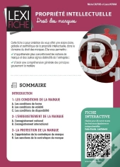 Propriete Intellectuelle